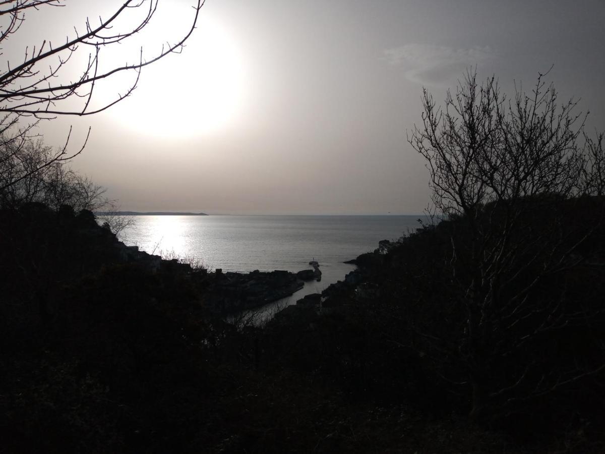 West Looe Downs Lejlighed Eksteriør billede